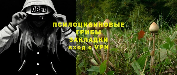 героин Алексин