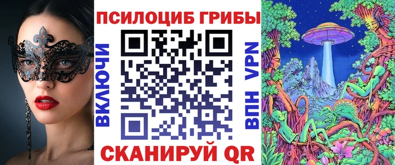 купить наркоту  Артёмовск  Галлюциногенные грибы Psilocybine cubensis 